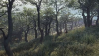 2. theHunter: Call of the Wild™ - Parque Fernando PL (DLC) (PC) (klucz STEAM)