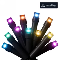 2. Nanoleaf 1D IP44 Starter Kit - zewnętrzny łańcuch świetlny 20m (250 LED w tym kontroler) (technologia Matter) (black)