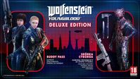 1. Wolfenstein Youngblood Deluxe Edition (NS)