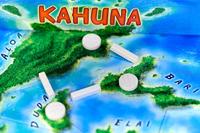 8. Kahuna