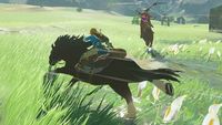 3. The Legend of Zelda: Breath of the Wild (WiiU) DIGITAL (Nintendo Store)