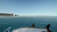 2. Ultimate Fishing Simulator - Florida PL (DLC) (PC) (klucz STEAM)