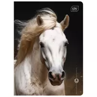 2. Interdruk Zeszyt A5 16 kartek kolorowa 3linia UV Wild Horses 366450