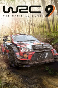 1. WRC 9 FIA World Rally Championship PL (PC) (klucz STEAM)