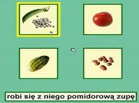 2. AfaSystem - Pakiet Podstawowy (8 modułów) - Wersja Dla Terapeuty