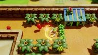 2. The Legend of Zelda Link's Awakening (NS)