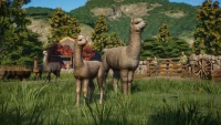 10. Planet Zoo: Barnyard Animal Pack PL (DLC) (PC) (klucz STEAM)