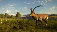 8. theHunter: Call of the Wild™ - Cuatro Colinas Game Reserve PL (DLC) (PC) (klucz STEAM)