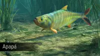 3. Ultimate Fishing Simulator - Amazon River PL (DLC) (PC) (klucz STEAM)