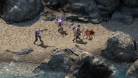 2. Pillars of Eternity Definitive Edition PL (PC) (klucz STEAM)