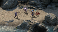 4. Pillars of Eternity Definitive Edition PL (PC) (klucz STEAM)