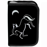 2. Paso Piórnik Dwuklapkowy z Wyposażeniem Night Unicorn PP23OL-P001