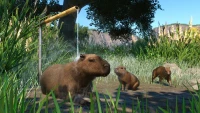 2. Planet Zoo: Wetlands Animal Pack PL (DLC) (PC) (klucz STEAM)