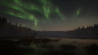 9. theHunter: Call of the Wild™ - Revontuli Coast PL (DLC) (PC) (klucz STEAM)