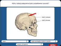 2. Didakta - Biologia 1 - Nauka o Człowieku - Program Do Tablicy Interaktywnej - (licencja do 20 stanowisk)