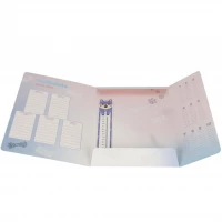 3. Starpak Teczka z Gumką Stay Pawsitive 398150