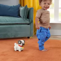 6. Fisher Price Pets Spacerowy Mopsik  HTW94