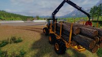 3. Professional Lumberjack 2015 (PC) DIGITAL (klucz STEAM)