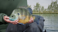 2. Fishing Sim World: Pro Tour - Lake Williams PL (PC) (klucz STEAM)