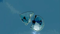 3. THE TEAR (PC) (klucz STEAM)