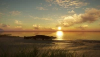 10. theHunter: Call of the Wild™ - Emerald Coast Australia (DLC) (PC) (klucz STEAM)