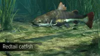 7. Ultimate Fishing Simulator - Amazon River PL (DLC) (PC) (klucz STEAM)