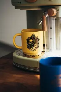 5. Zestaw Kubków Harry Potter - Dormitoria 4 szt.