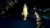 7. Ultimate Fishing Simulator PL (PC) (klucz STEAM)