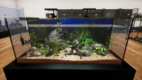 8. Aquatic Store Simulator PL (PC) (klucz STEAM)