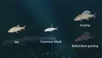 4. Ultimate Fishing Simulator - New Fish Species PL (DLC) (PC) (klucz STEAM)