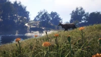 4. theHunter: Call of the Wild™ - Sundarpatan Nepal Hunting Reserve PL (DLC) (PC) (klucz STEAM)