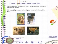 3. Egzamin szóstoklasisty