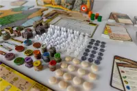 8. Spirit Island: Rozdarta ziemia
