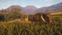 7. theHunter: Call of the Wild™ - Rancho del Arroyo PL (DLC) (PC) (klucz STEAM)