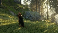8. theHunter: Call of the Wild™ - Bloodhound PL (DLC) (PC) (klucz STEAM)