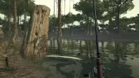5. Ultimate Fishing Simulator - Amazon River PL (DLC) (PC) (klucz STEAM)