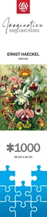 6. Good Loot Imagination: Ernst Haeckel Orchidea / Orchid (1000 elementów)