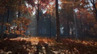 5. theHunter: Call of the Wild™ - New England Mountains PL (DLC) (PC) (klucz STEAM)