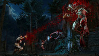 7. Blood Knights (PC) (klucz STEAM)