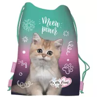 1. St.Majewski Worek na Obuwie Kitty Party 687143