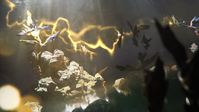3. Endless Space 2: Lost Symphony (PC) PL DIGITAL (klucz STEAM)