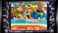 5. Street Fighter 30th Anniversary Collection (NS)