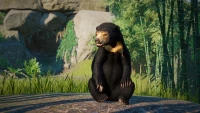 3. Planet Zoo: Southeast Asia Animal Pack PL (DLC) (PC) (klucz STEAM)