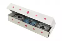 5. Takenoko