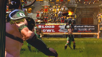 3. Blood Bowl 2 - Wood Elves PL (DLC) (PC) (klucz STEAM)