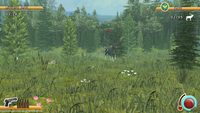 4. Deer Hunt Legends (PC) DIGITAL (klucz STEAM)
