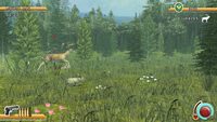 8. Deer Hunt Legends (PC) DIGITAL (klucz STEAM)