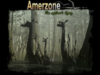 11. Amerzone (PC) DIGITAL (klucz STEAM)