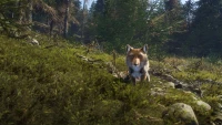 6. theHunter: Call of the Wild™ - Sundarpatan Nepal Hunting Reserve PL (DLC) (PC) (klucz STEAM)