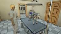3. Animal Doctor (Switch) (klucz SWITCH)